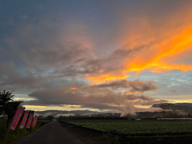 �g��i�����ˁj�Ԃǂ���