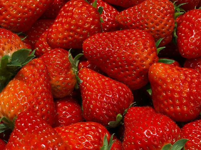 ��ނ������̂����͂̂ЂƂB12��ނ̂��������H�ו���Ŋy���߁A50���Ԃ�����薡�킦���ґ�Ȏ��Ԃ��߂����邨�����߃X�|�b�g�ł��I�I_�ό��_���X�}�C���t�@�[��