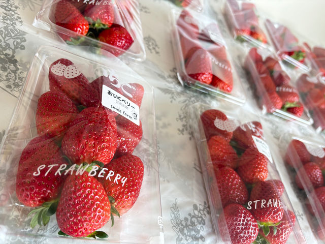 �������ł͐V�N�Ȓ��E��䕂�̔����B�݂��݂������Â݂����Ղ�̂������͍�����L���ŁA���̂܂܂ł��X�C�[�c�ɂ��҂�����B���蕨�ɂ���΂���i�ł��I�I_�ό��_���X�}�C���t�@�[��