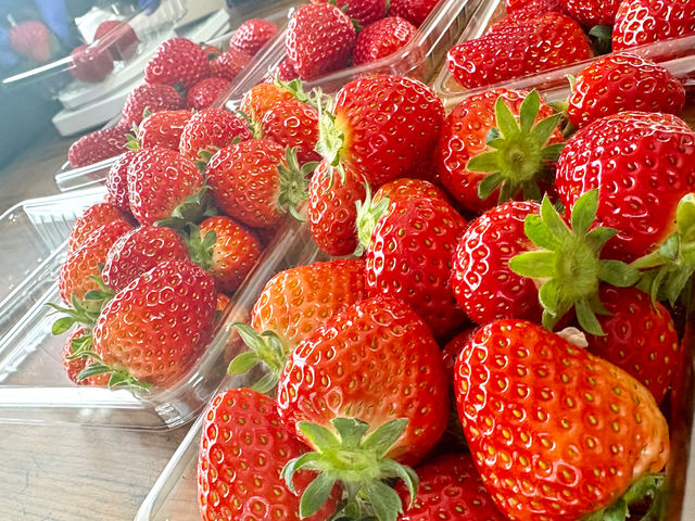 �����̂������͎R����ɂ��Ă��p�ӁB����䕂͏����⒆�����Â݂������A����������ƋÏk����Ă��܂��B�H�ׂ₷���������������l�C�̃T�C�Y�ł��I�I_�ό��_���X�}�C���t�@�[��