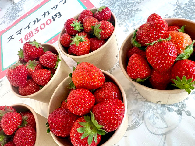 �X�}�C���J�b�v�͏����̂������������Ղ�l�߂���Ԃ����ȏ��i�B�Â݂��Ïk���ꂽ�H�ׂ₷���T�C�Y�ŁA�ʂ������������Q�B���ƒ�p�₨��ɂ҂�����̐l�C���i�ł��I�I_�ό��_���X�}�C���t�@�[��