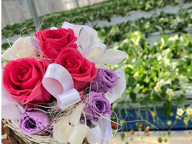 ����v���U�[�h�t�����[�Ƃ��������łق����胊���b�N�X�C����_�ό��_���X�}�C���t�@�[��