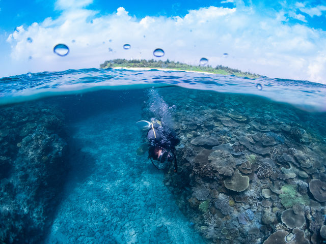 �X�L���A�b�v�I�I�琬�R�[�X_����C ����X