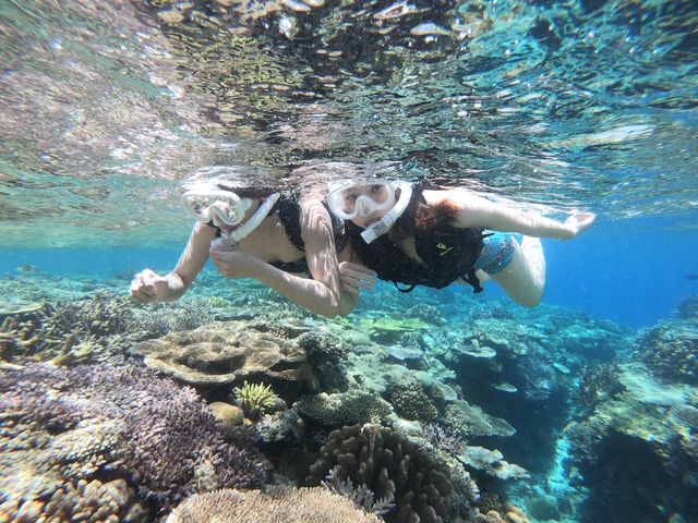 ��l�C�I�V���m�[�P�����O�̌�_����C ����X