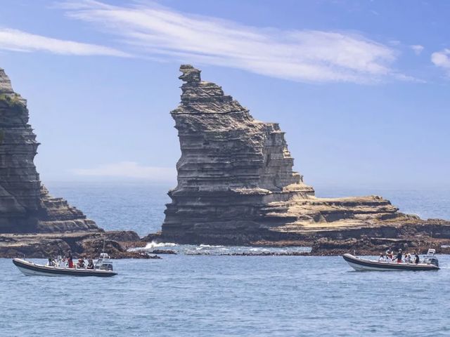 �����X�^�[���b�N ����/ ���ǂ��� �E���猩��Ƌ���ȃ����X�^�[�� �����m����o�����Ă���悤�Ɍ�����ꏊ�I_Seafari Japan