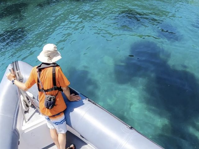 �݂�ȂɂƂ��Ċy����_Seafari Japan