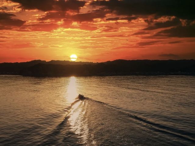 �T�����C�Y�E�T���Z�b�g �ō��̏ꏊ�Ƀ{�[�g���߂đ��z�����ނ܂��́A����̂��ώ@�ł���J�����}����J�b�v���ɐl�C�̃c�A�[�B_Seafari Japan