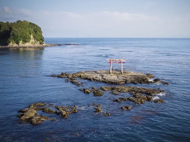 ���Y�̕��� ���Y�p�ɕ����ԕ����ɂ́A�Ԃ�����������A�ƂĂ��_��I�ł�_Seafari Japan