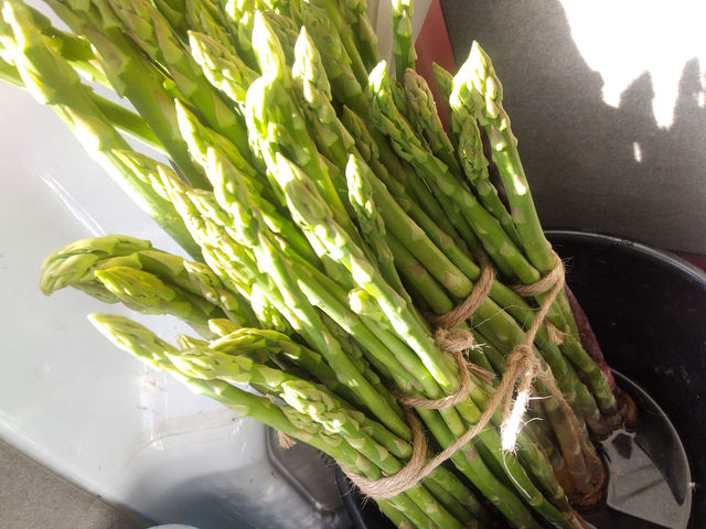 ���������̃I�[�K�j�b�N�ȃA�X�p���I_�q���_��