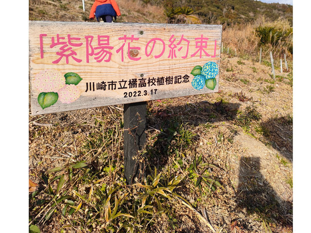 ���z�Ԃ̋G�߂��҂�������_�ό��_�R �]���Ԋ}�R