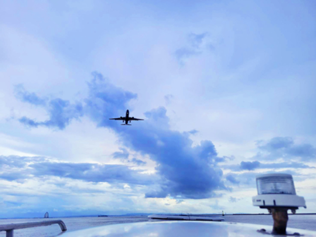 �H�c��`�߂��ő唗��_D-marina