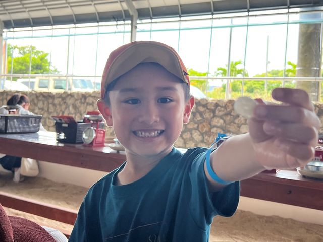 �ނ��Č�����ڂ�����̍� ����