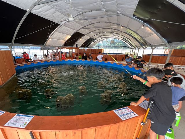 �ނ��Č�����ڂ�����̍� ����