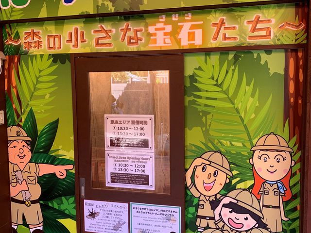 �ނ��Č�����ڂ�����̍� ����