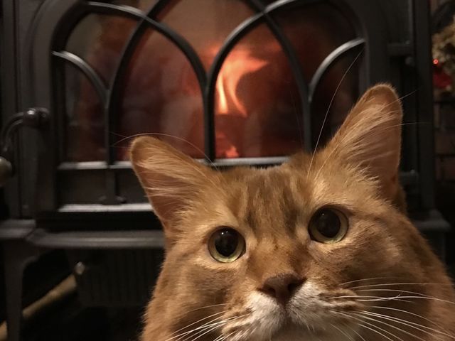 �T�����E�������ł͊ŔL������o�����Ƃ��B�C�܂���ł����B_AROMA YA DANRO