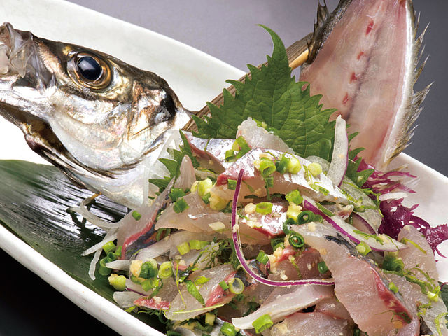 ���̃^�^�L_�ޑD���� ������ ����X