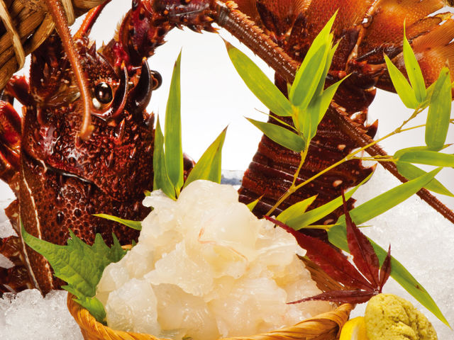 �ɐ��C�V�̂�����_�ޑD���� ������ ����X