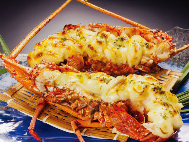 �ɐ��C�V�̃}���Ă�_�ޑD���� ������ ����X