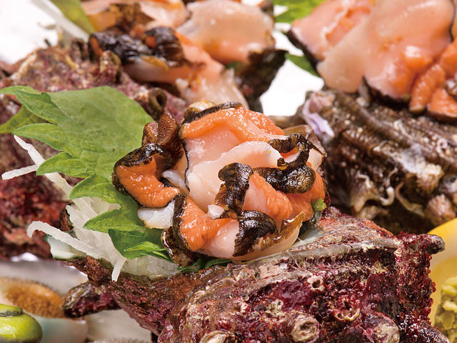 �������̂�����_�ޑD���� ������ ����X