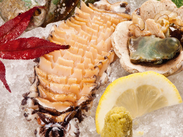 鸂̂�����_�ޑD���� ������ ����X