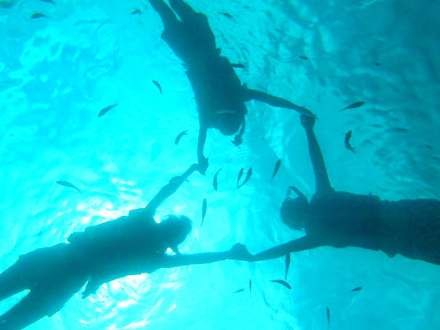 �ʐ^�̃Z���X������܂��ˁ`_�Ì����V�[�N���[�Y