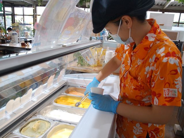 �{�Ó��W�F���[�g�{�X