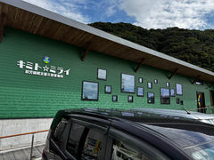 AJpxB^Ə L~g~C̎ʐ^1