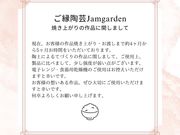 �������|Jamgarden�̎ʐ^4