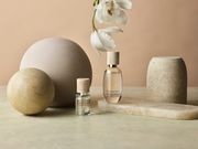 Ztg[^r[eBT Bika̎ʐ^4