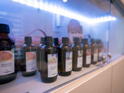 Ztg[^r[eBT Bika̎ʐ^2