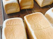 �H�p���̃j�V�U�g�̎ʐ^3