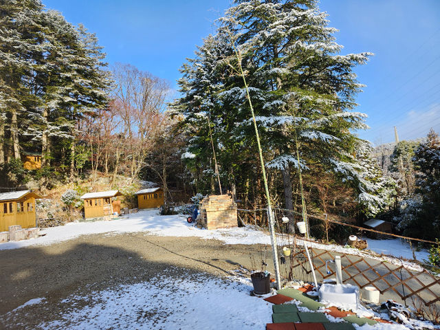 �o�[�x�L���[�r�M��