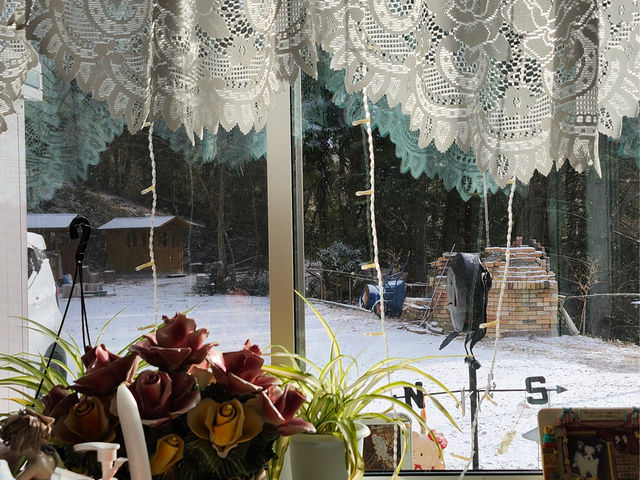 �o�[�x�L���[�r�M��