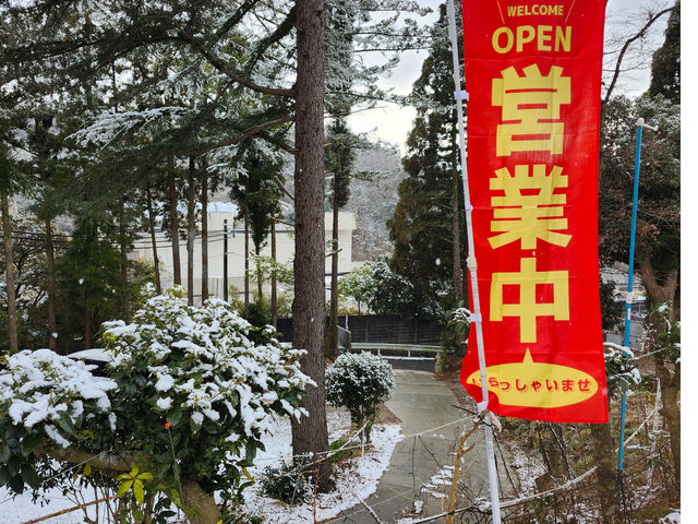 �o�[�x�L���[�r�M��