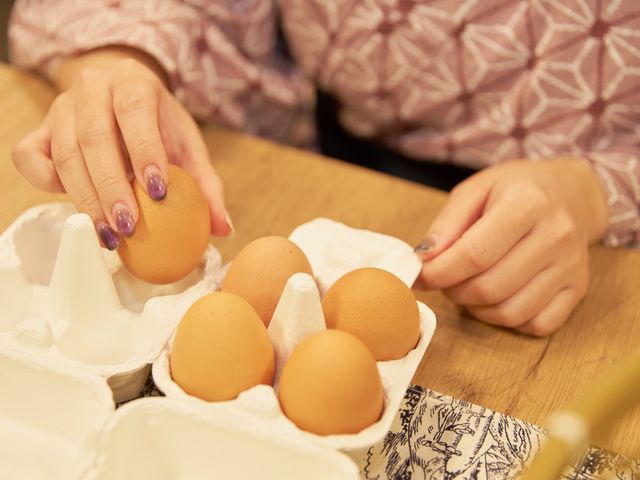 �y����ʎq�Â���z
�W�ʂ͂������A��_��̏h �o�{������/���j���̏���쉷��