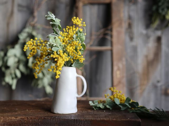 |Ŗk̃t[x[XÂ_Atelier Pelto