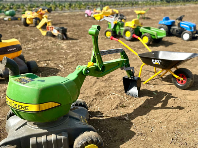 �����₳�����n�̌��_�� ���Δ_��