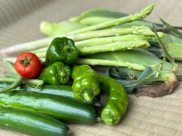 �����₳�����n�̌��_�� ���Δ_��