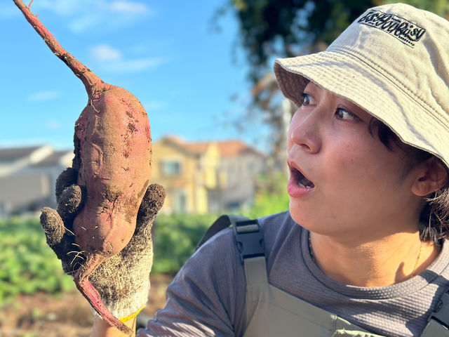 �����₳�����n�̌��_�� ���Δ_��