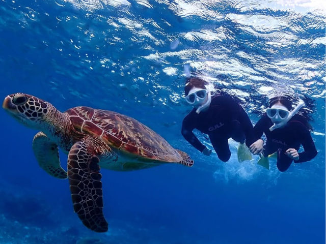 �V���m�[�P���c�A�[�ł͑�R�̐������Əo�������_�v�ē��c�A�[SUNRISE