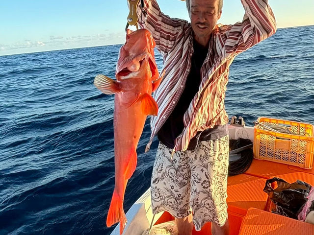 �D�ނ�c�A�[�I�������A�J�W�����ނ���ĐH�ׂ���_�v�ē��c�A�[SUNRISE