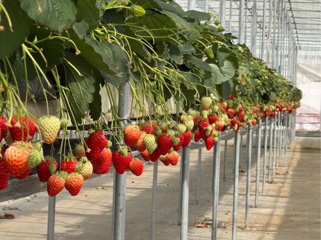 �����_��̎ʐ^1