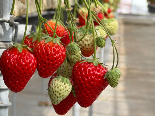 �����_��