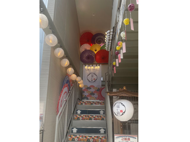 �����_��z ������