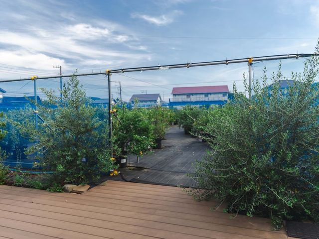 Clanscreek Berry Farm