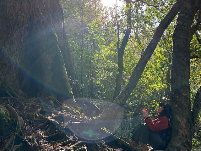 �������߂����A�X�̎��ԁB_���v�����g���[�g�V�����e�B�[