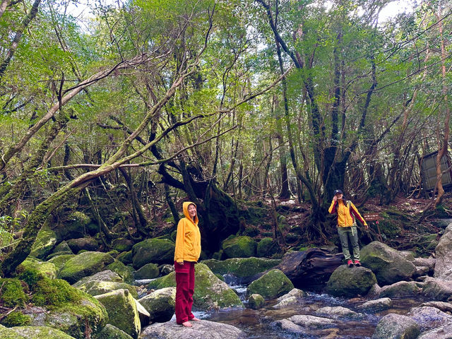 ���J�_�����A���X���������ƁA�ۂނ��X�ɖ�����܂��B_���v�����g���[�g�V�����e�B�[