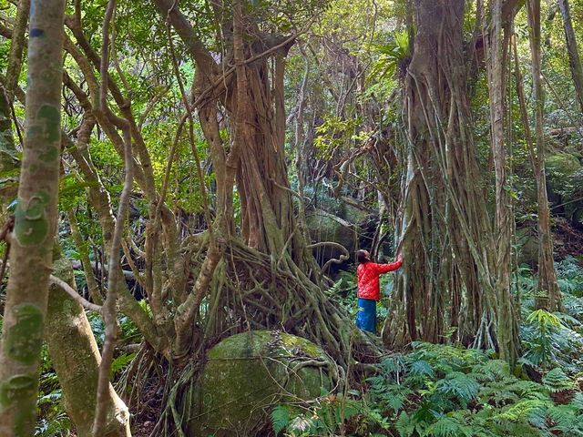 �V�����e�B�[�̐X�̃K�W���}��_���v�����g���[�g�V�����e�B�[