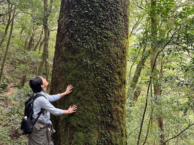 ���J�_�����ɂāA�؂ƁA�𗬂���_���v�����g���[�g�V�����e�B�[