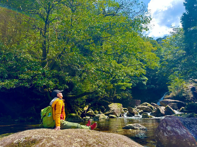 �������i�F�́A���J�_����_���v�����g���[�g�V�����e�B�[